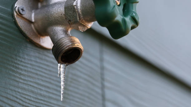 Best Plumbing Repair Near Me  in Montgomery, MN